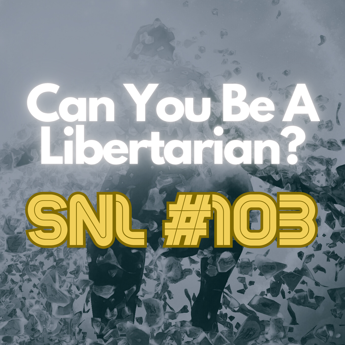 Can You Be A Libertarian? - Stacker News Saturday Newsletter