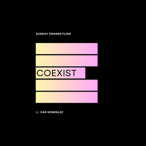 Coexist - Sunday Orange Flow