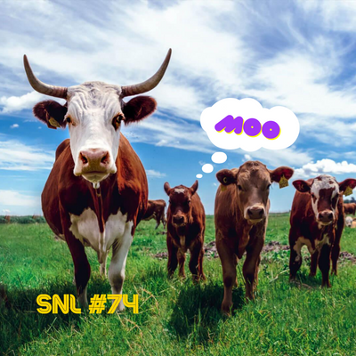 "Moo" - Stacker News Saturday Newsletter