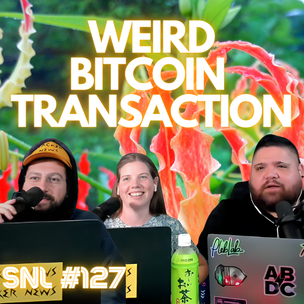 Weird Bitcoin Transaction with PlebPoet